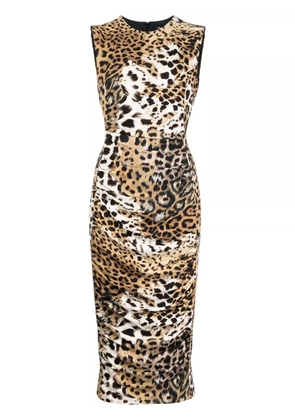 Roberto Cavalli jaguar-print gathered midi dress - Brown