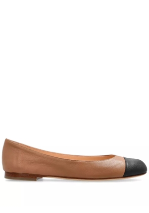 AGL Milly ballerina shoes - Brown