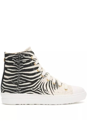Roberto Cavalli zebra-print sneakers - Black