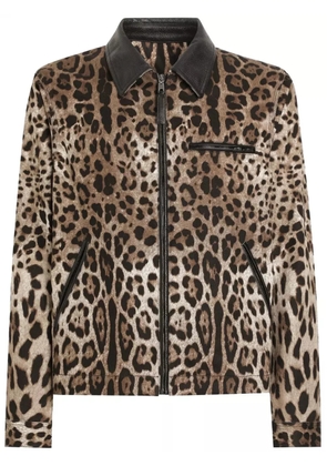Dolce & Gabbana leopard-print bomber jacket - Brown