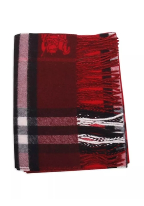 Burberry checkered scarf