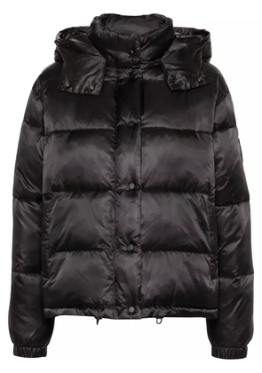 PINKO Love Birds-patch puffer jacket - Black