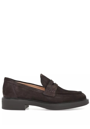Gianvito Rossi Harris loafers - Brown