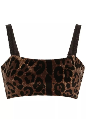 Dolce & Gabbana leopard-print sleeveless crop top - Brown
