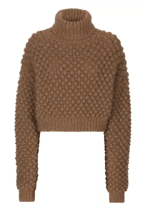 Dolce & Gabbana roll-neck cropped jumper - Brown