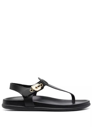 Ancient Greek Sandals buckle-fastening sandals - Black