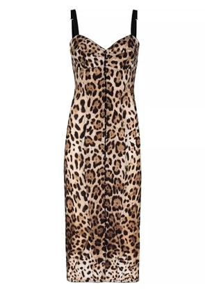 Dolce & Gabbana leopard-print midi dress - Neutrals