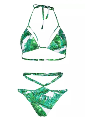 Noire Swimwear jungle-print Isla bikini - Green