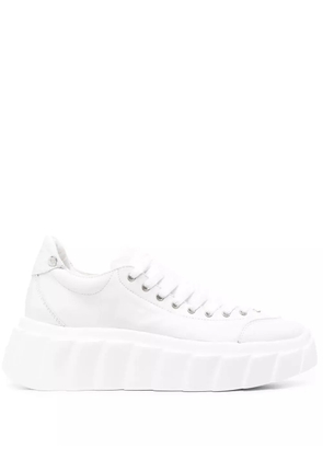 AGL Blondie Ties leather sneakers - White