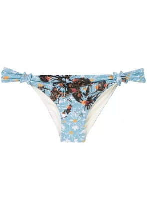 Clube Bossa Rings bikini bottom - Blue