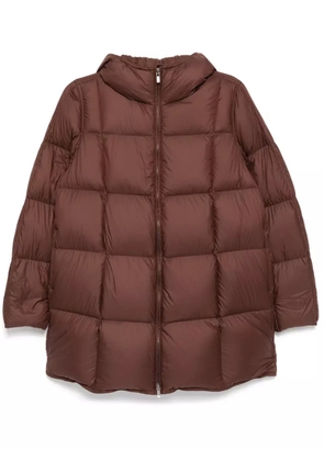 JNBY drawstring down jacket - Brown