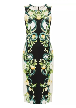 Roberto Cavalli lemon-print crepe midi dress - Black