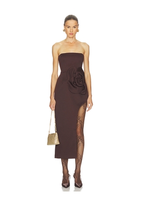 DELFI Joyce Dress in Chocolate. Size L. Also in M, S, XS.