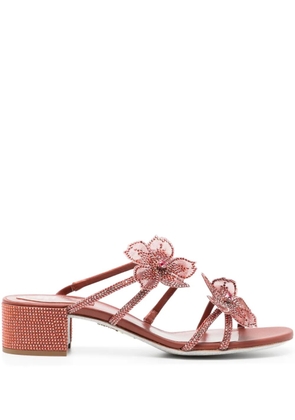 René Caovilla 50mm Peach Flower sandals - Brown