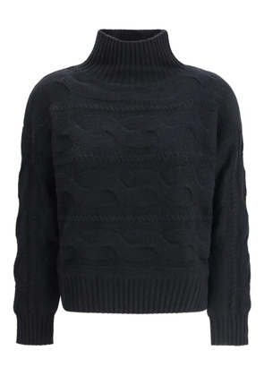 Max Mara cable-knit roll-neck sweater - Black