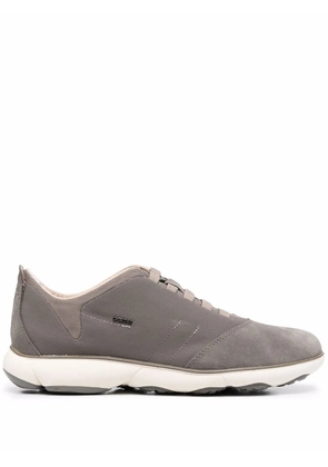 Geox Nebula low top sneakers - Grey