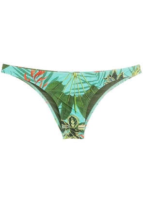Lygia & Nanny Poipu tropical print bikini bottoms - Green