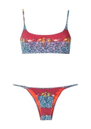 Amir Slama animal-print bikini set - Blue