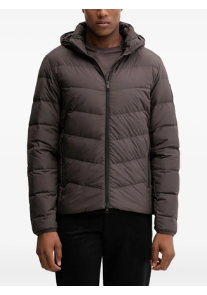 JACK WOLFSKIN Colonius hooded quilted padded jacket - Brown