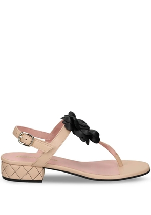 Pretty Ballerinas 30mm flower-detailing sandals - Neutrals