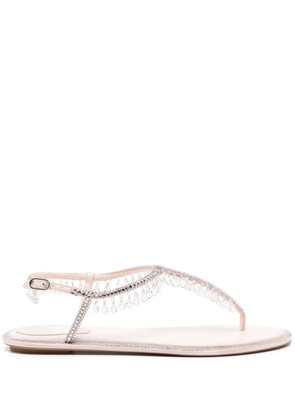 René Caovilla Chandelier sandals - Pink