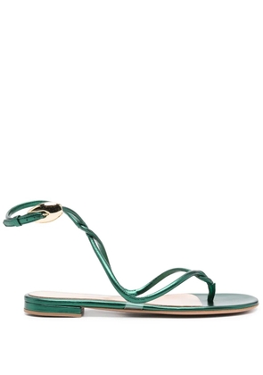 Gianvito Rossi Black Mamba flat sandals - Green