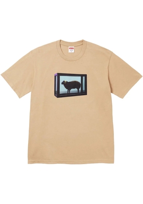 Supreme x Damien Hirst printed T-shirt - Neutrals