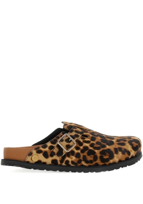 Birkenstock leopard buckle mules - Brown