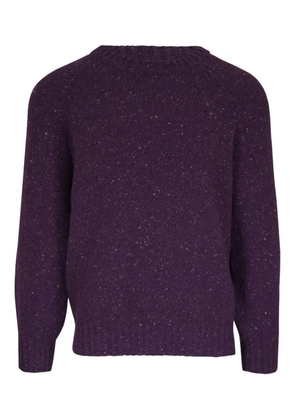 Brunello Cucinelli raglan-sleeve speckled sweater - Purple