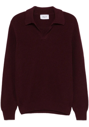 D4.0 virgin wool polo sweater - Red