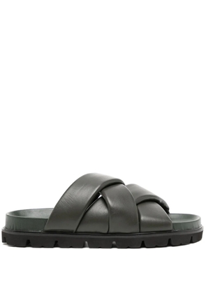 Senso Ian slides - Green