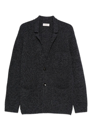 Agnona V-neck cardigan - Blue