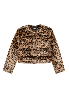 Maje leopard-print buttoned jacket - Brown
