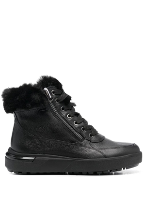 Geox Dalyla Abx boots - Black