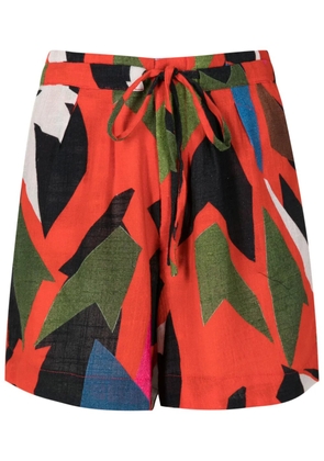 Osklen Abacaxi graphic-print shorts - Multicolour