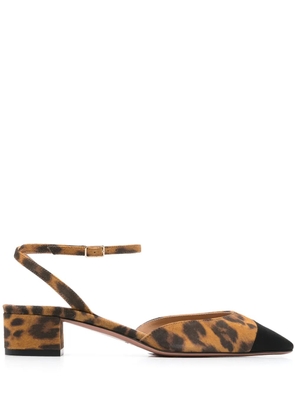 Aquazzura 35mm French Flirt pumps - Brown