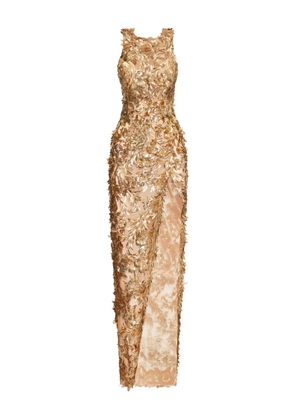 Oscar de la Renta feather-embellished maxi dress - Gold