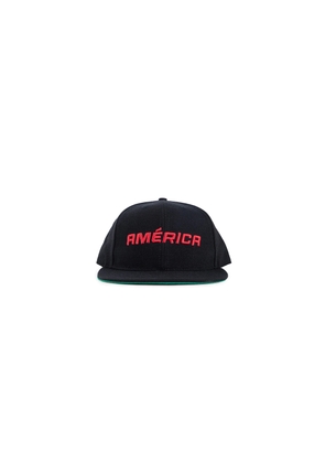 Ameri cap