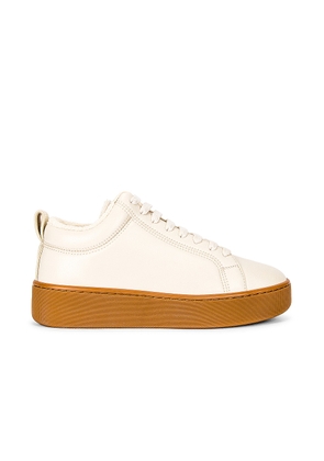 Bottega Veneta Lace Up Sneakers in Sea Salt - Ivory. Size 38.5 (also in 36, 38, 39, 39.5, 41).