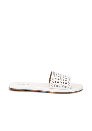 ALAÏA Perforated Flat Sandal in Blanc Casse - White. Size 40 (also in 37).