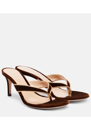 Gianvito Rossi Calypso 70 velvet thong sandals