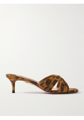Aquazzura - Divine 50 Leopard-print Suede Mules - Animal print - IT35,IT35.5,IT36,IT36.5,IT37,IT37.5,IT38,IT38.5,IT39,IT39.5,IT40,IT40.5,IT41,IT41.5,IT42