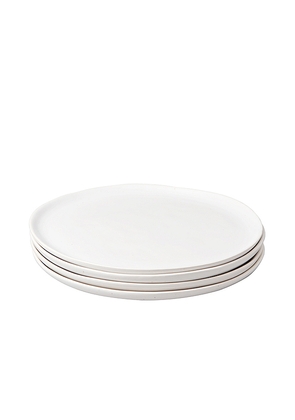 Fable The Salad Plates Set of 4 in White.