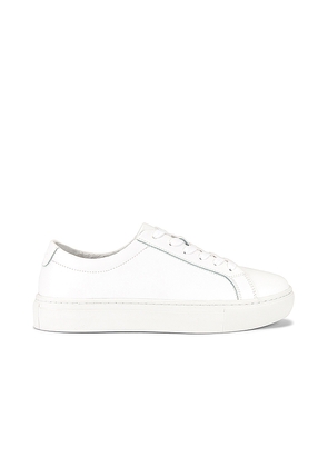 New Republic Kurt Sneaker in White. Size 8.5. Also in 9, 9.5.