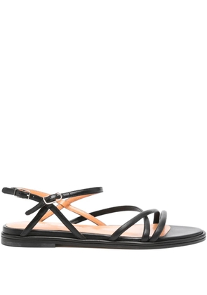 Lella Baldi leather buckle sandals - Black