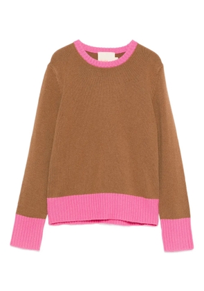 absolut cashmere Alessandra colourblock sweater - Brown