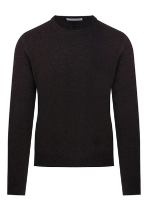 CASHMERE COMPANY crew-neck sweater - Brown