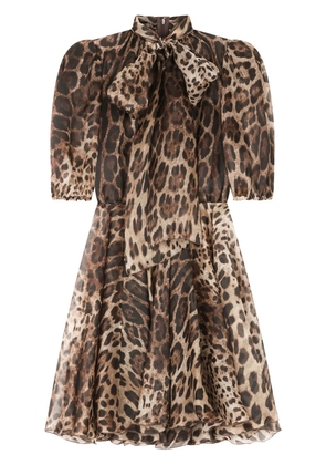 Dolce & Gabbana leopard-print organza minidress - Brown