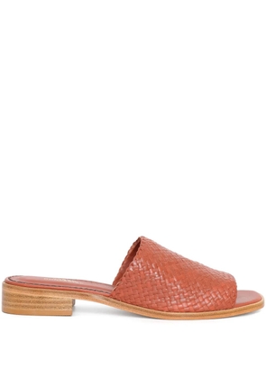 Sarah Chofakian Trama slides - Brown