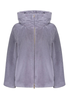 Herno hooded zip jacket - Grey